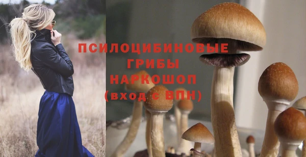эйфоретик Белоозёрский