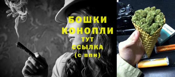 дживик Белокуриха