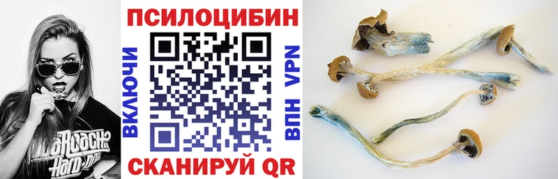 Псилоцибиновые грибы мицелий  Тихорецк 