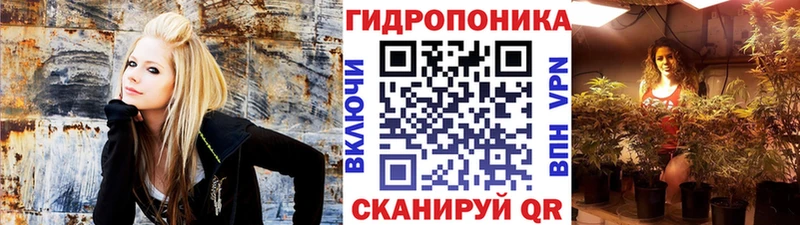 наркота  OMG онион  Бошки Шишки THC 21%  Тихорецк 